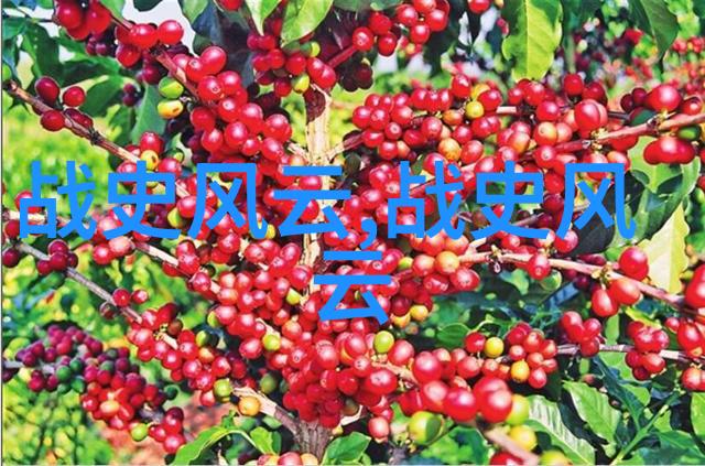 从龙井到西湖名茶背后的浪漫传奇