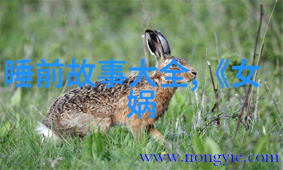 华胥夫人与她的七个丈夫