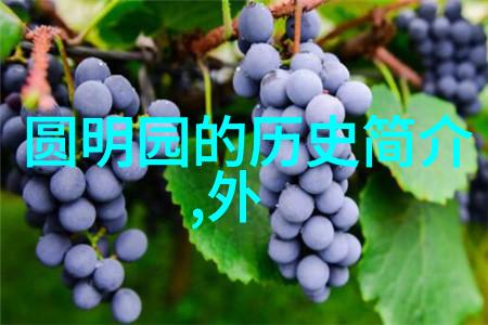 郑玉中国历史上成就最高的诗人12981358