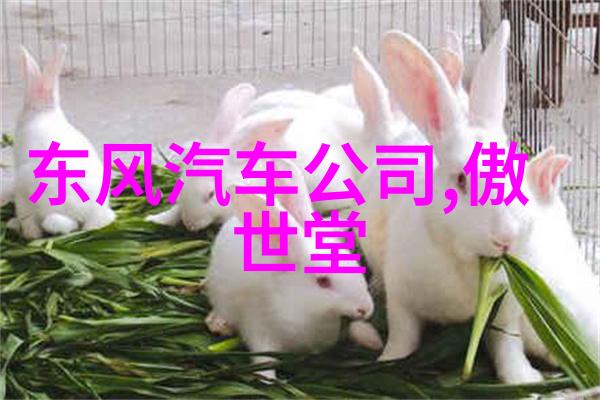 乌拉那拉氏断发野史探索历史上的断发现象与文化意义