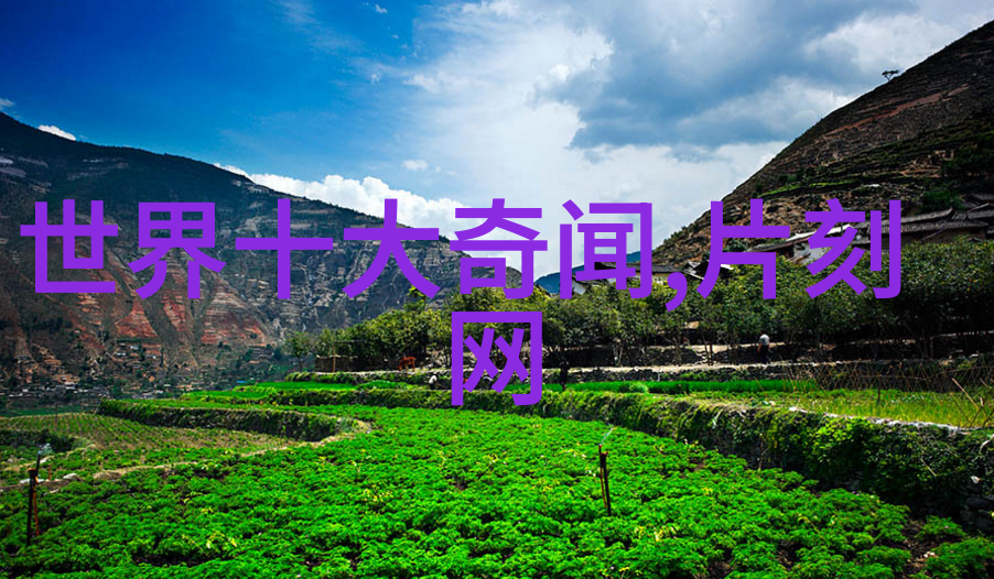 黄梅戏天仙配词徐志远的音乐魅力