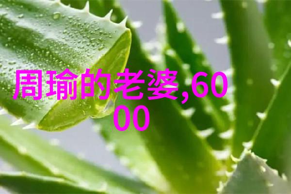 中国神话传说全文阅读揭秘古代神祇与奇迹