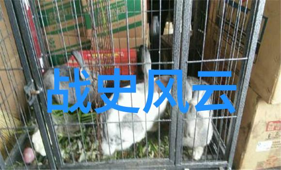 南美风光与北欧梦想流浪记中的人生
