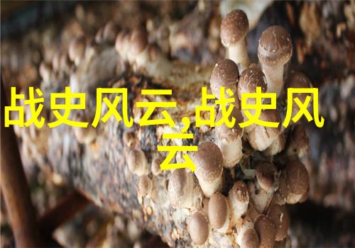 中华文化宝库解读中国神话故事的深层意义