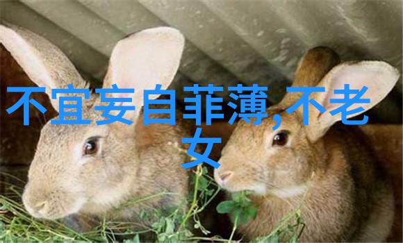 世界十大必读书籍罗怀新