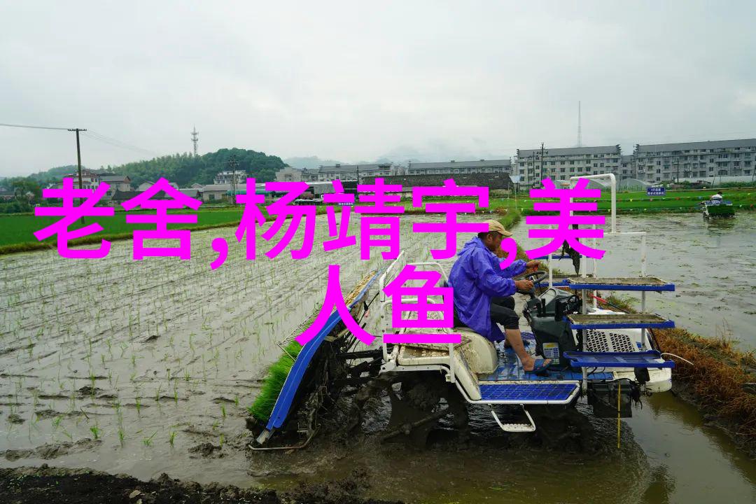 月下织梦古代文明对月亮神话的追忆与创造