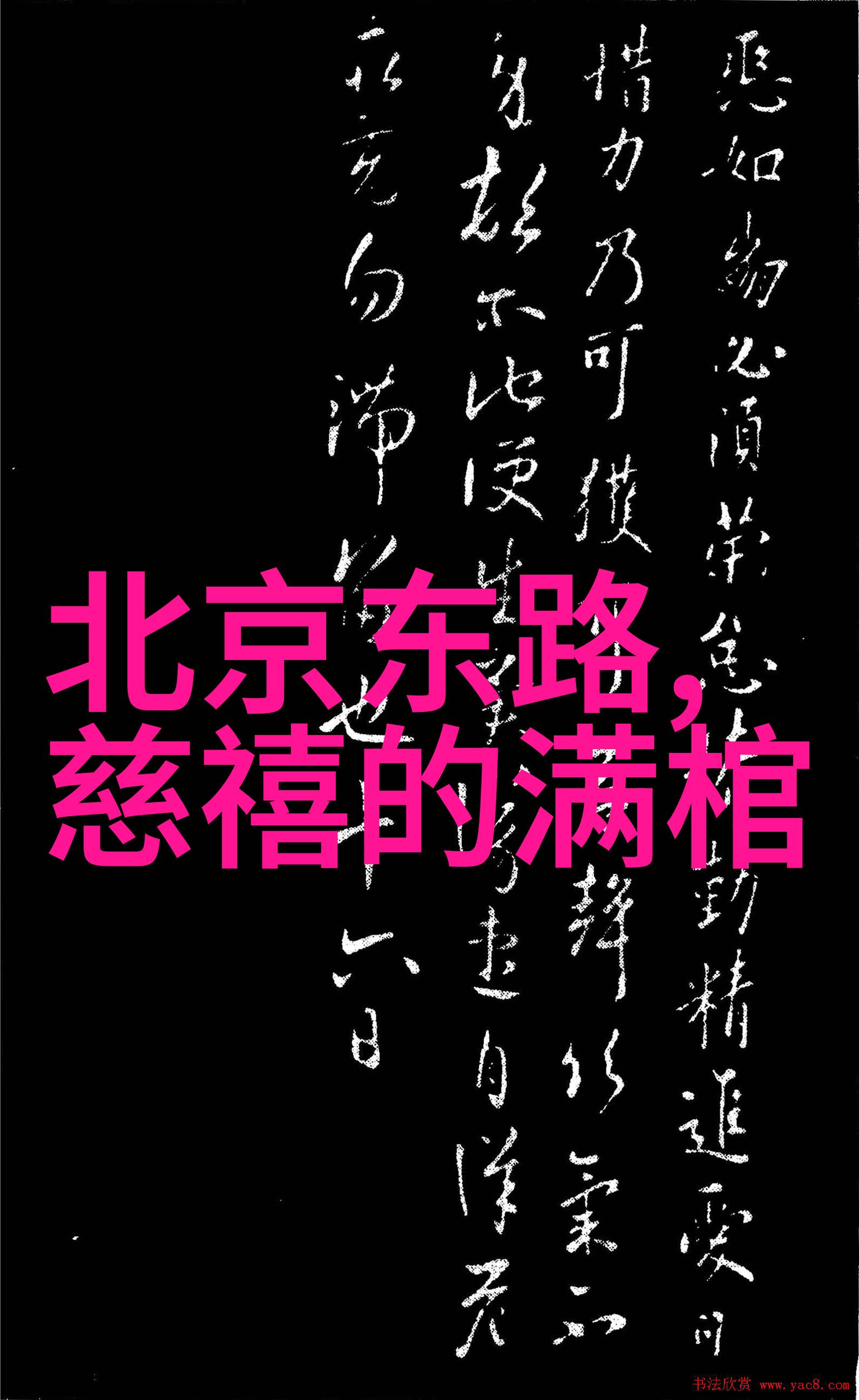 中国历史上著名男宠亦思马因的荣耀足迹