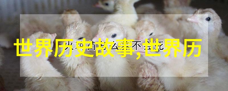 儒家思想的演变及在现代社会中的应用