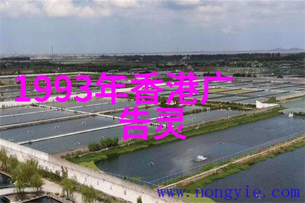 中国重要历史事件的故事-龙的传人探秘秦始皇焚书坑儒
