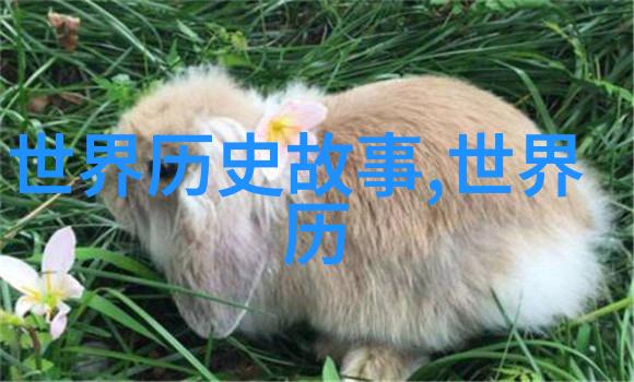 二年级寓言故事-小青蛙的智慧之旅从池塘到王国