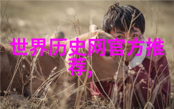 百年风华揭秘中国历史故事的精髓