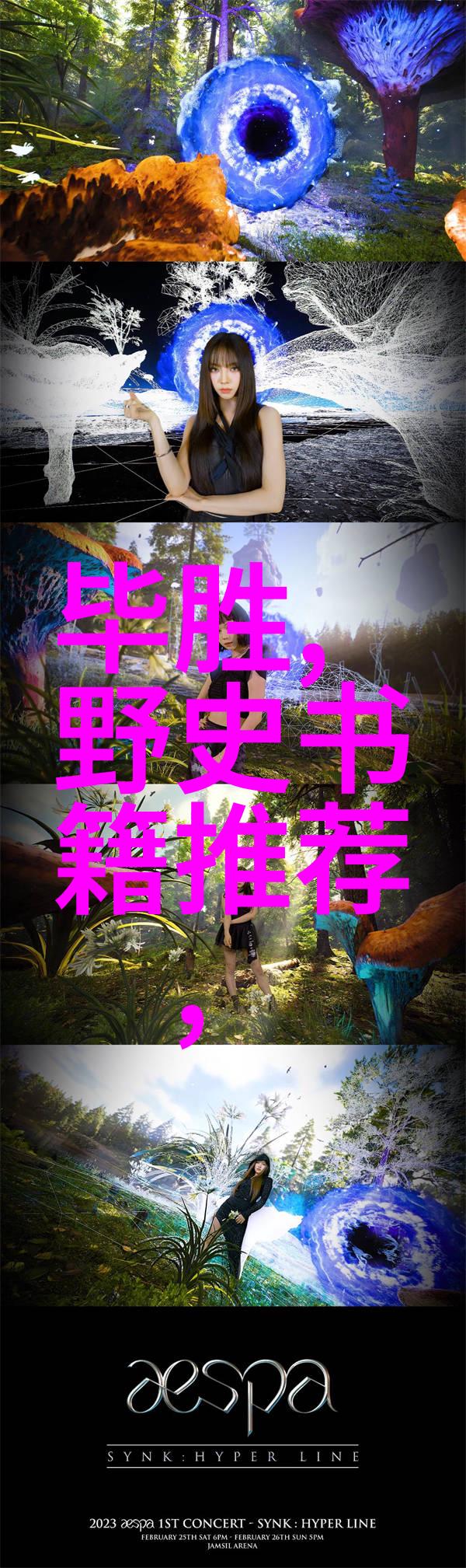 十大书法家之丰坊书写艺术的殿堂