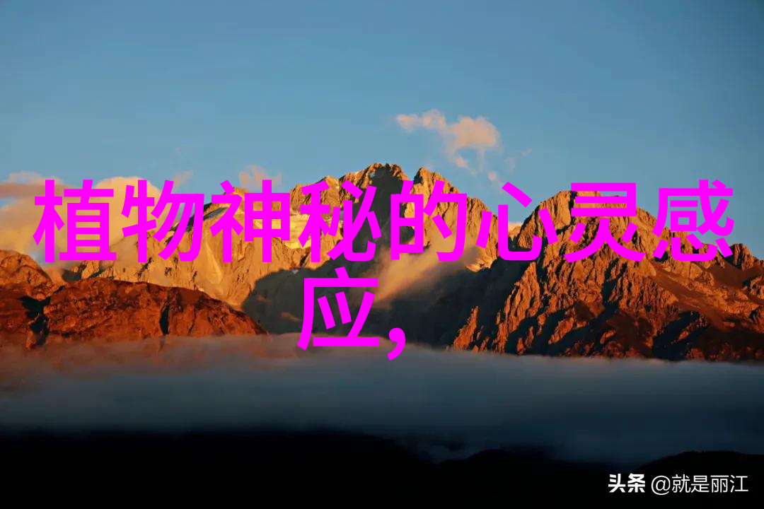 明朝的历史地位和影响我眼中的明朝光辉与阴影