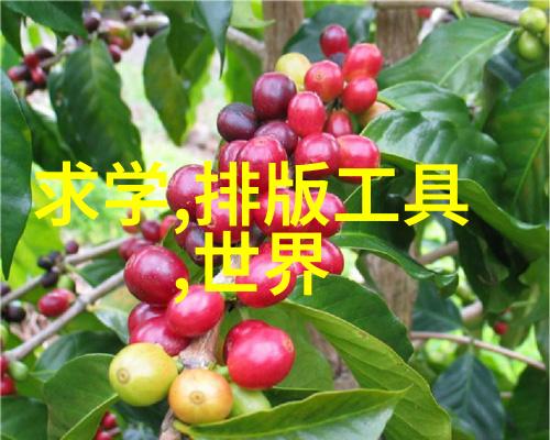 女儿流星火星车和走向深空对比不同国家的太空探索策略