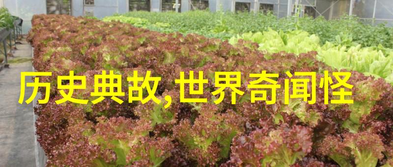 李政道始终心系祖国的科技事业劝诫青年不要因为家境富裕就不好好搞科研毕竟良好的科研环境和精神更能助你在