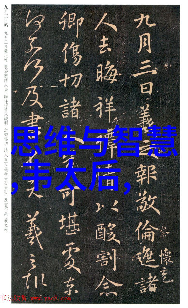 穿越时空的网虫中国历史网追学网的奇妙冒险