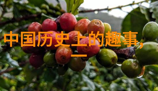 新闻奇闻趣事揭秘异闻录与怪事件的真相