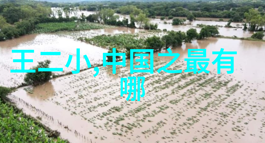 中国历史网追学网深度挖掘古今文化遗产