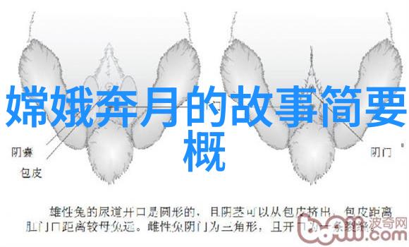 夜幕下的奇幻旅程儿童睡前故事的无尽探秘