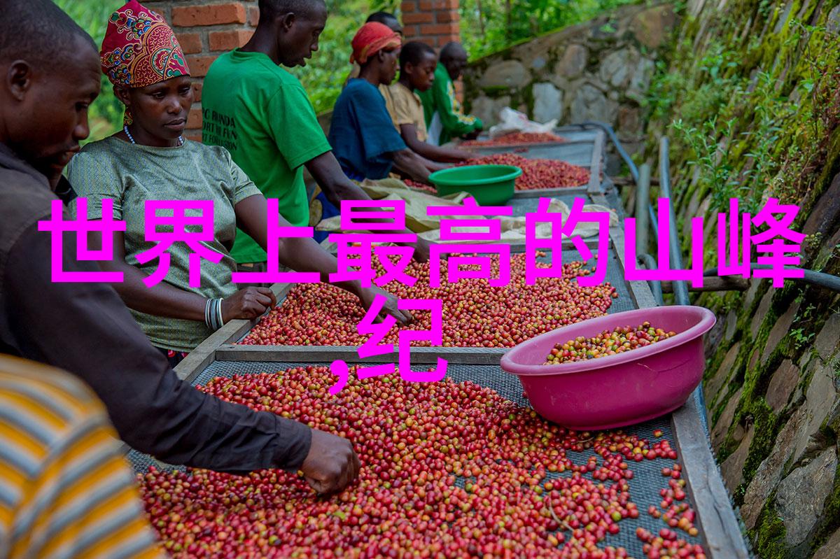非洲国家争取独立的历史进程