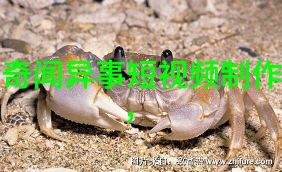 明朝的黑暗与光明历史的真相探究