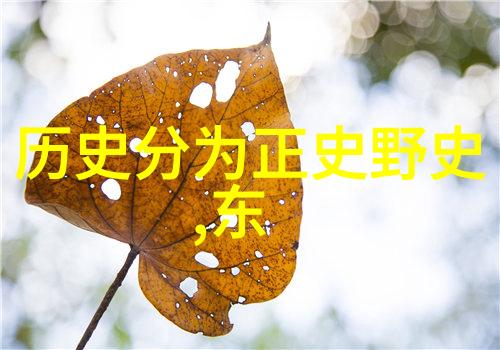 帝王霸业上下五千年野史中的权谋斗争