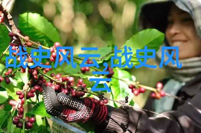 穿梭时空的网络漫游揭秘那些历史网站让你笑中带泪