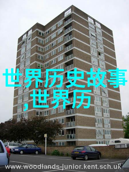 新闻奇闻趣事神秘失踪的城市探索迷雾缭绕的阿瓦隆