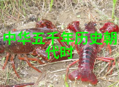 看世界奇闻异事素材网我来分享你没听过的超级神秘事件