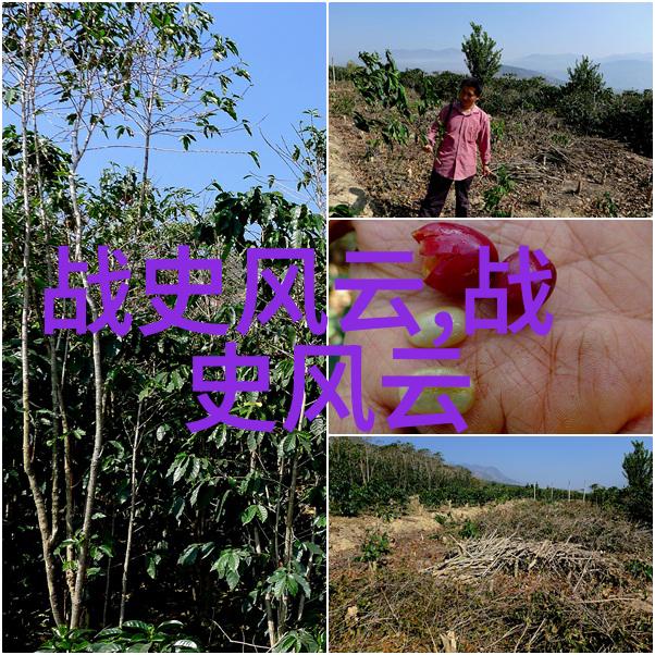 重生之妖孽人生逆袭的巅峰