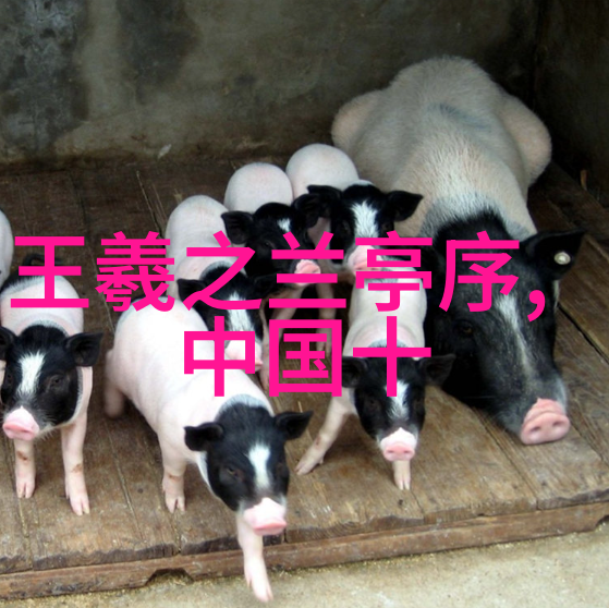隋朝遗风与唐朝的崛起历史上的相继兴衰