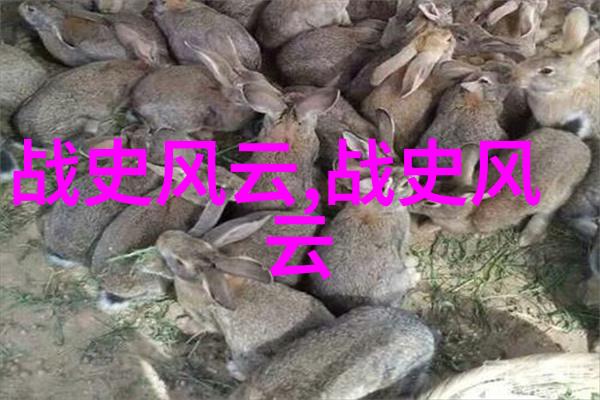 儿童历史启蒙三年的文化传承与时代见证