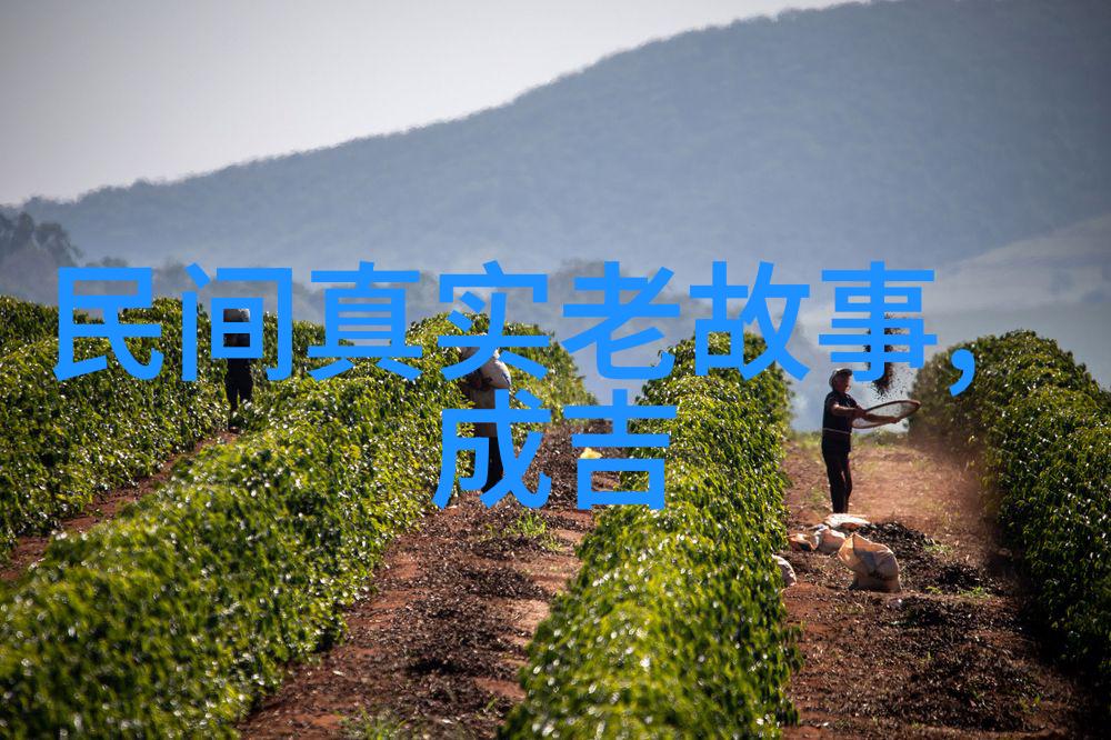 明朝那些事儿的主角饰演者有什么共同点