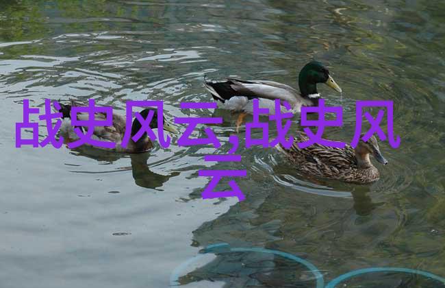 绫华的扑克之夜小内趴地打牌的温馨瞬间