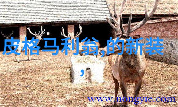 聊斋志异中的狐仙与人的神秘故事有哪些