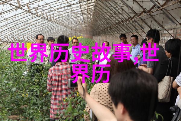 多尔衮背后的秘密如何玩转孝庄的权力游戏