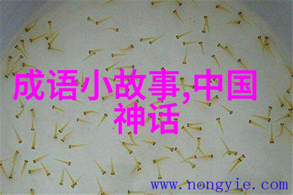 真实生活中的超级英雄课本上不提及的社会贡献者们