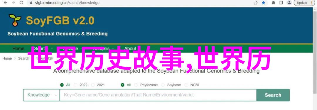 明朝大观龙凤呈祥的盛世风华