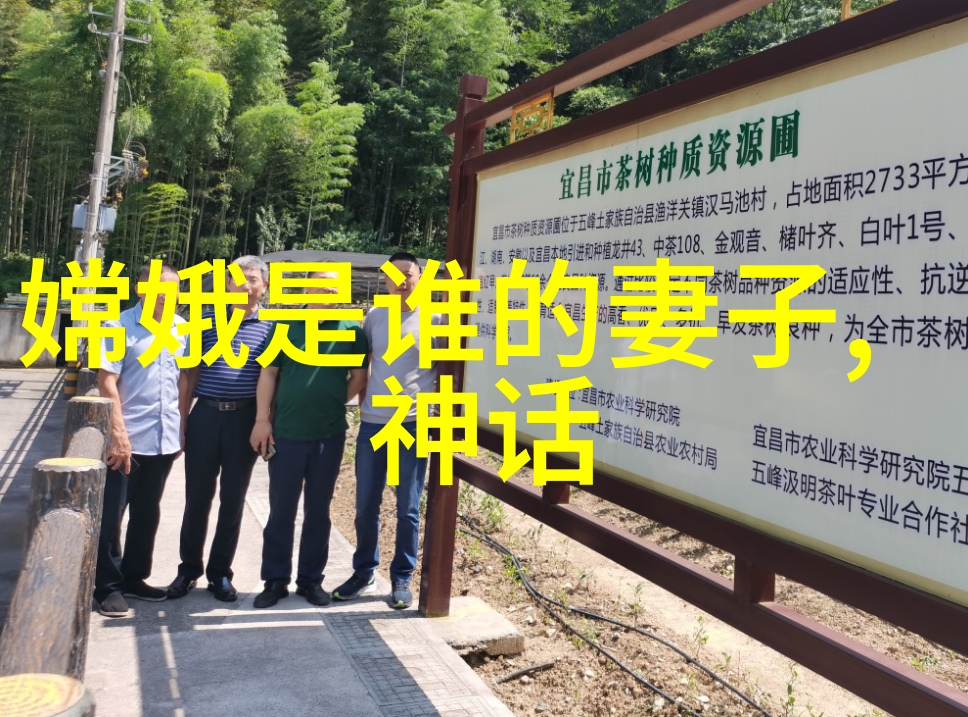美貌的代价与价值追求外表的深层考量