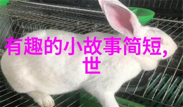 野史讲的是什么内容-揭秘历史的另一种面纱野史探索与文化价值