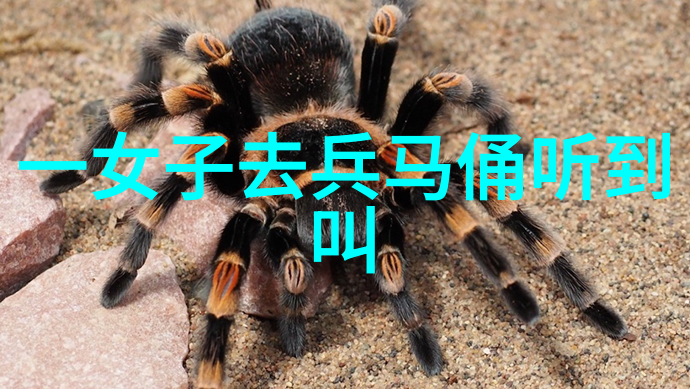 传统文化小故事大全 - 民间故事精华探秘中国古老文明的智慧与魅力