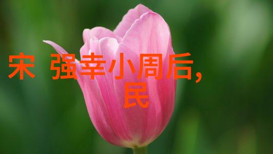 天界之花云端的守望者