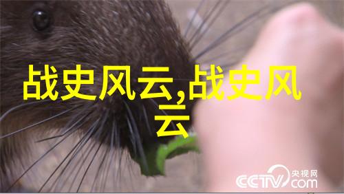 探秘未解之谜揭开世界奇观的神秘面纱