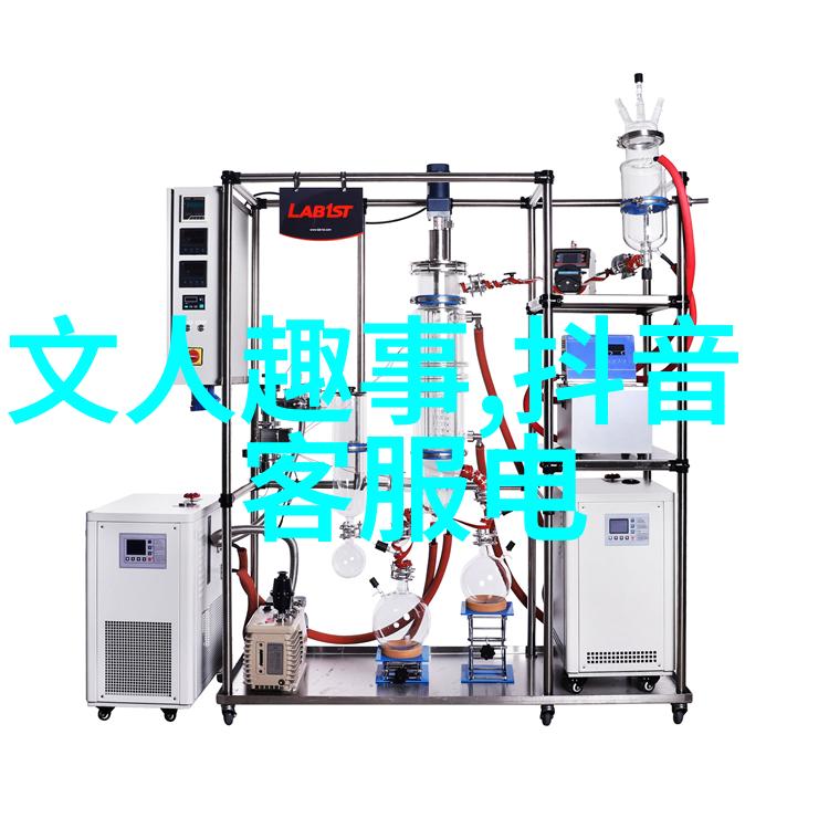 辉煌的起点从忽必烈到元朝的开创