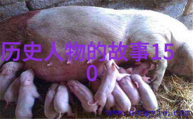 主题我为什么觉得那座山的意思就是巍峨