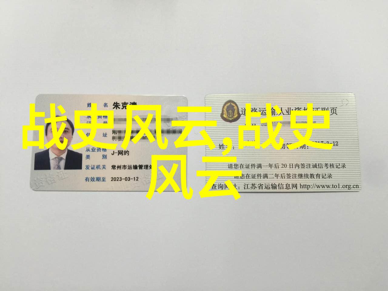 笑谈古今从秦始皇的宠儿到明末的隐士历史上的奇遇与趣闻