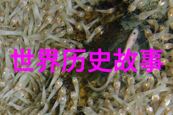 深渊中的谜团揭秘中国历史未解之谜