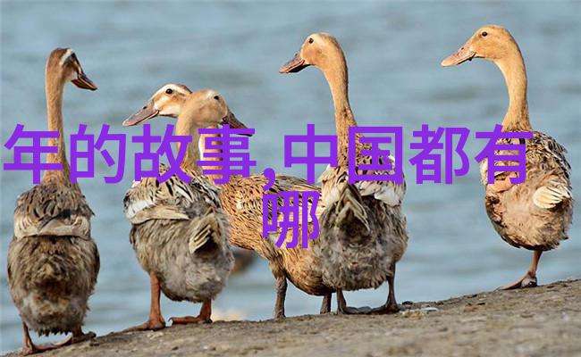 秦灭六国数据驱动的历史分析