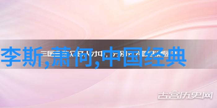 重燃初心第二次初恋的温柔回响