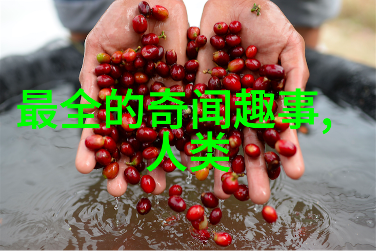唐岛之战的过程及结局唐岛之战的评价如何